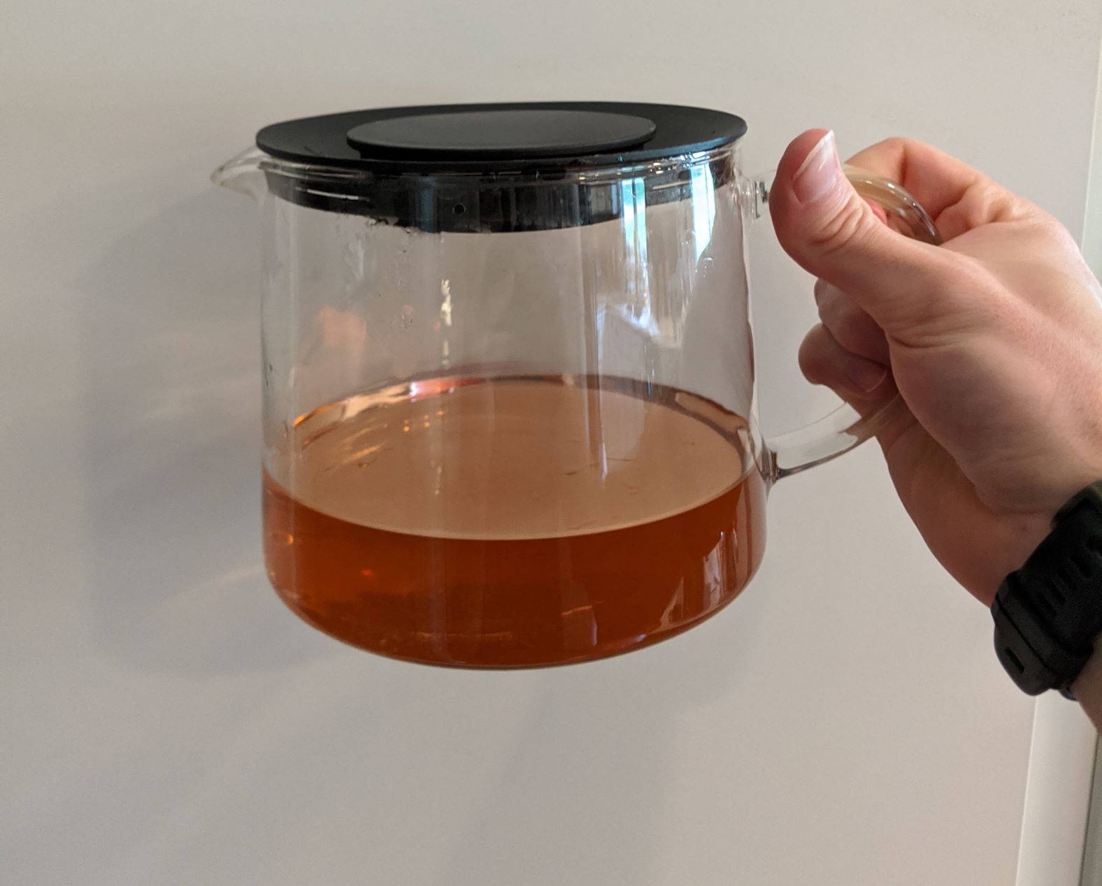 Willow Bark Tea Syllepsis